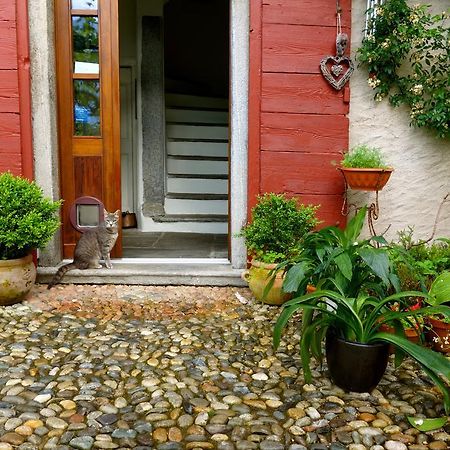 Bed & Breakfast Uvablu Trontano Dış mekan fotoğraf